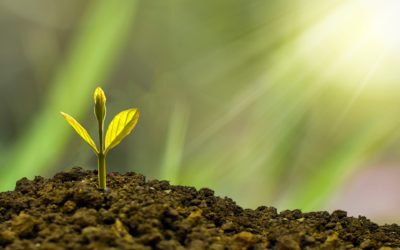 Fomento del Emprendedurismo  Ley N° 19.820